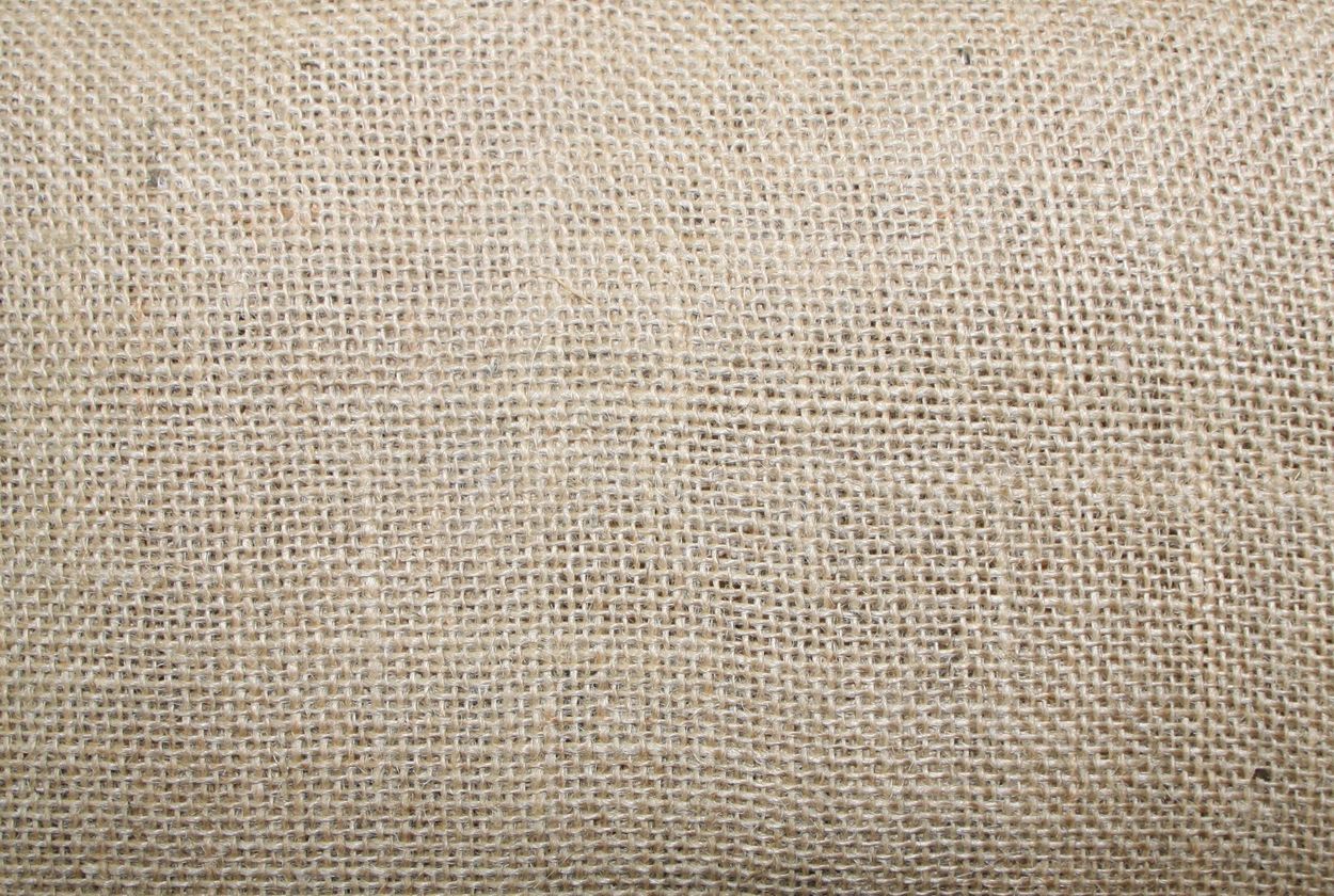Jute