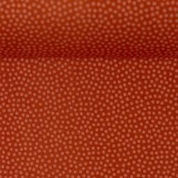Dotty  roest