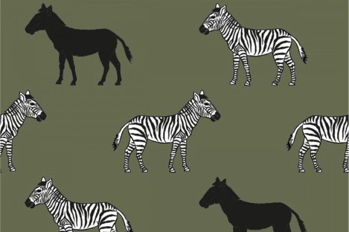 Zebra&#39;sen paarden