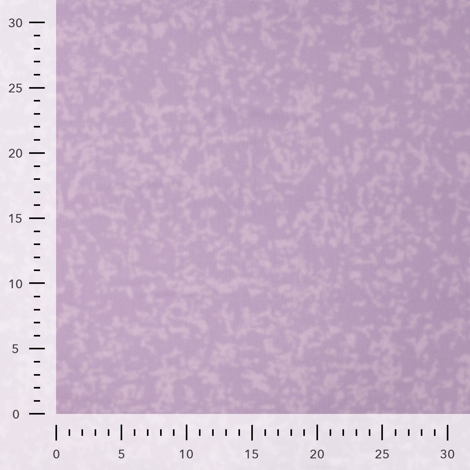 Sportwear|spots lilac