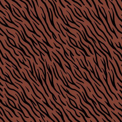 Sweater zebra
