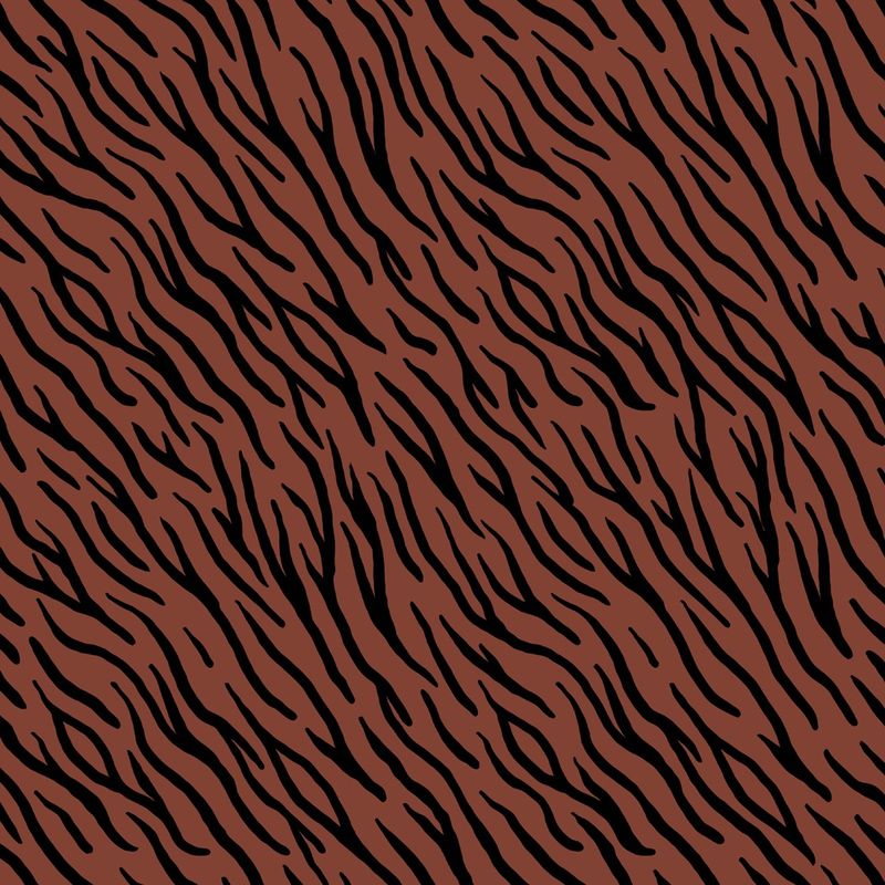 Sweater zebra
