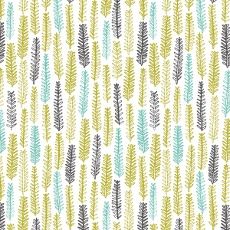 Cloud 9 Landscape little 'Forest Citron'