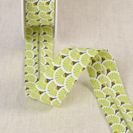 Biaislint fans anijs