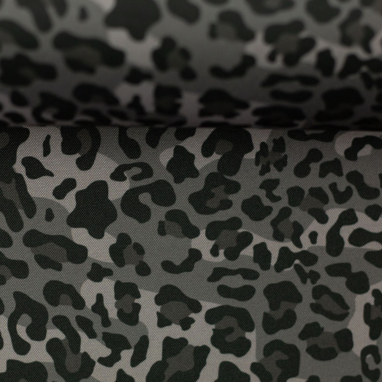 Softshell leopard