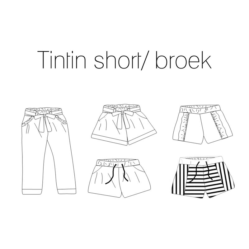 Tintin short/broek