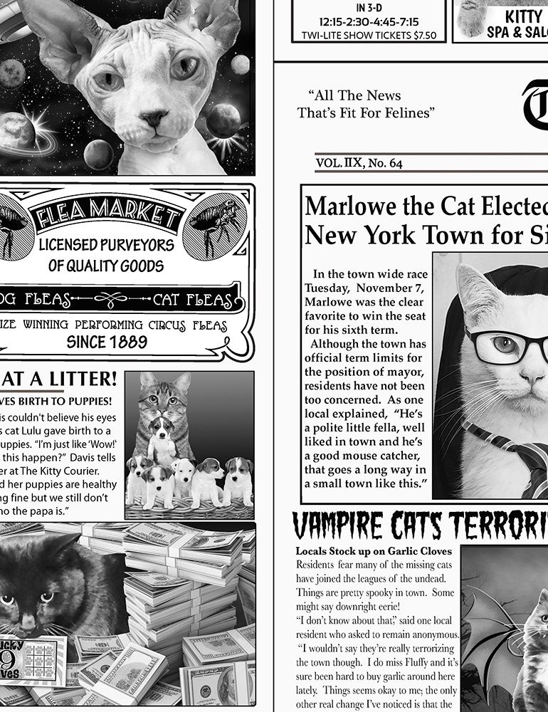 Cat newsprint