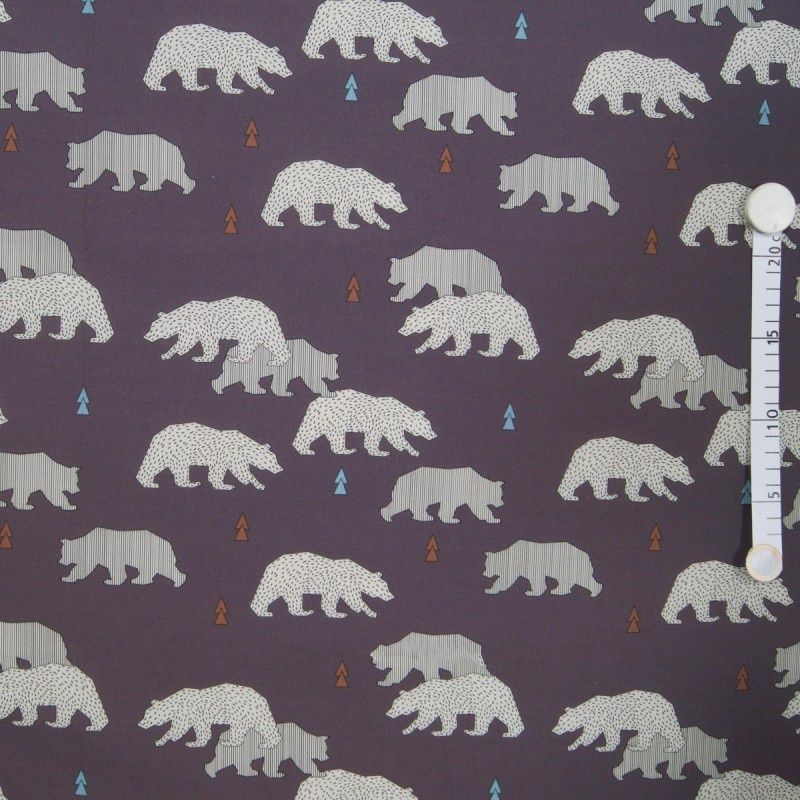 Bears