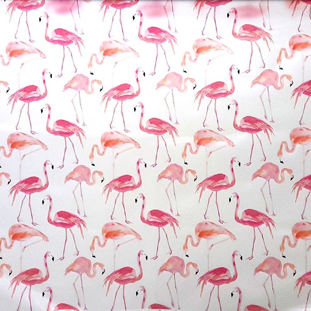 Rainy flamingo&#39;s