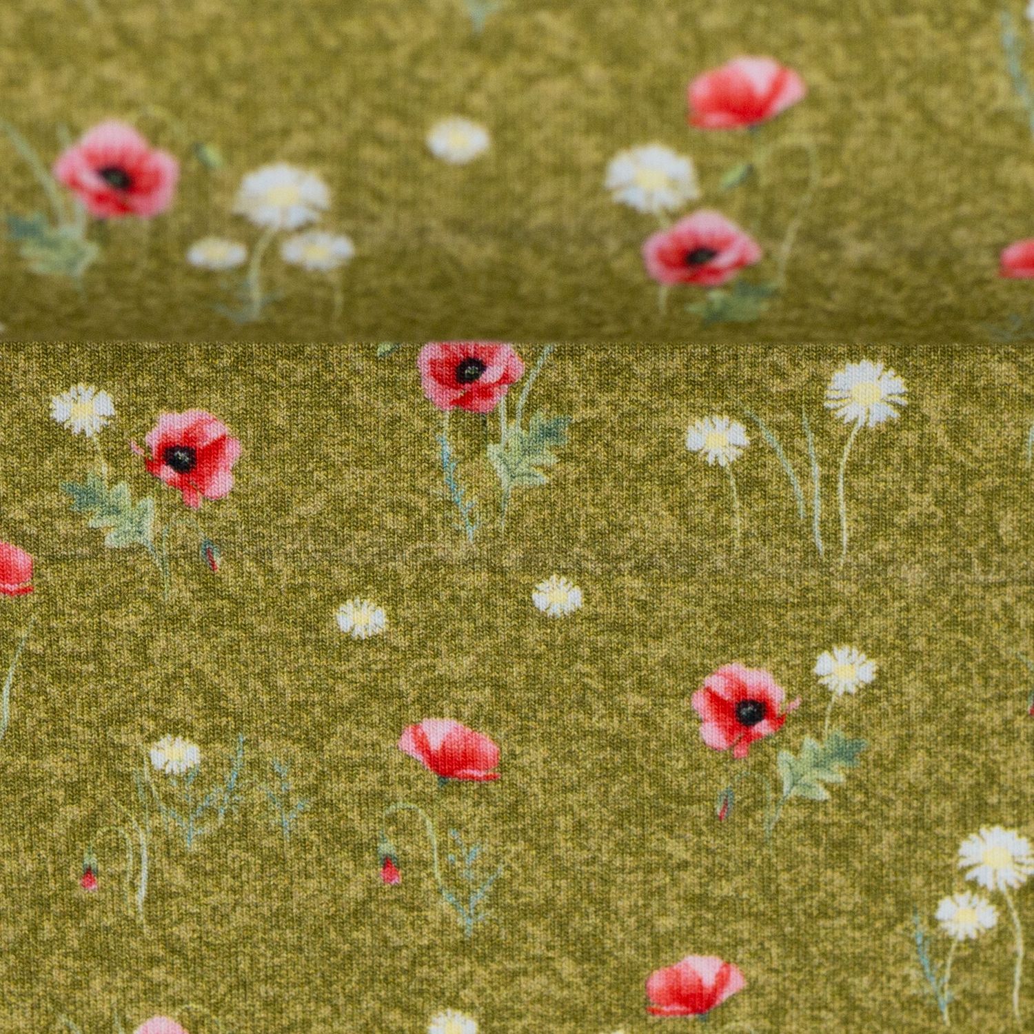 Little red poppy
