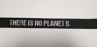 There is no planet B