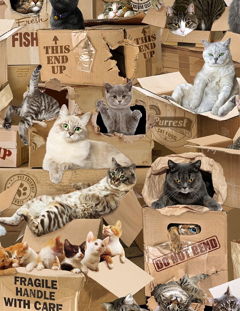 Multi cat