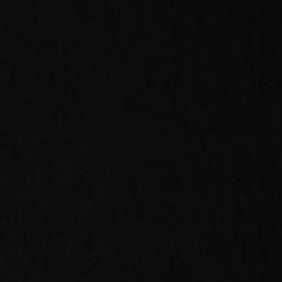 Vanessa Tricot Zwart