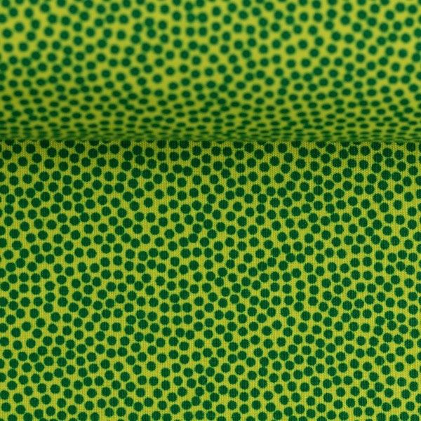 Dotty licht groen