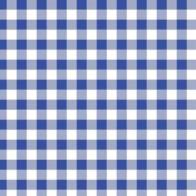 Seersucker checks blauw/wit (Zen)