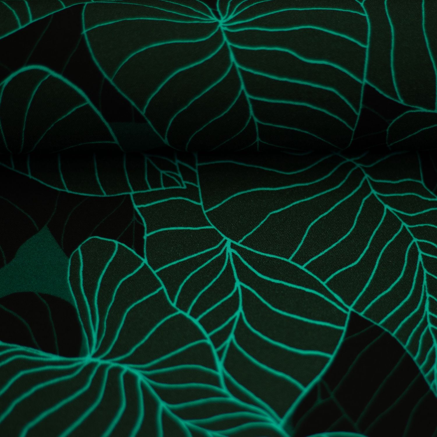 Tropical forest by Thorsten Berger green