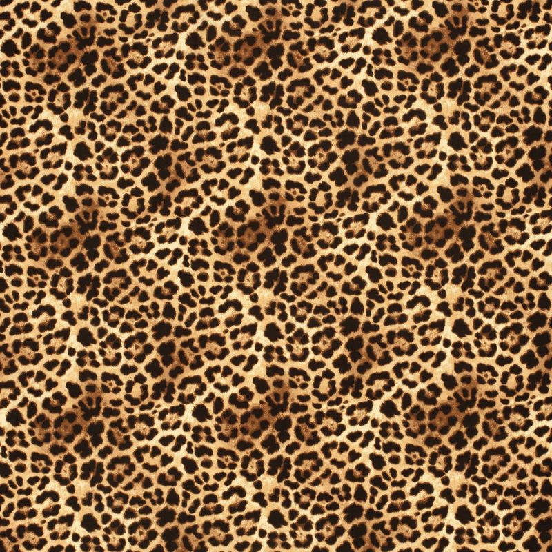 Swimwear panter