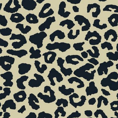 Yoga sport  lycra leopard