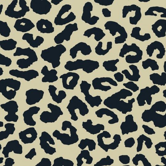 Yoga sport  lycra leopard