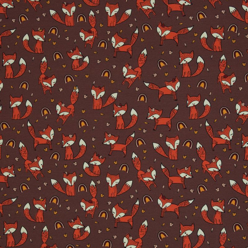 Zorrito foxes  by Bienvenido Colorido