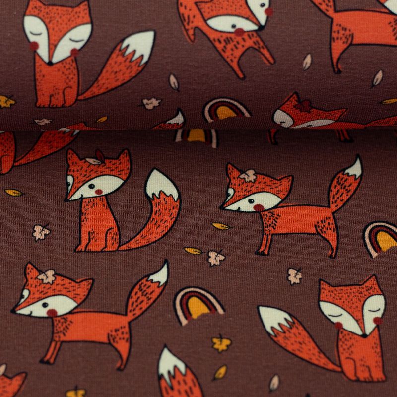 Zorrito foxes  by Bienvenido Colorido