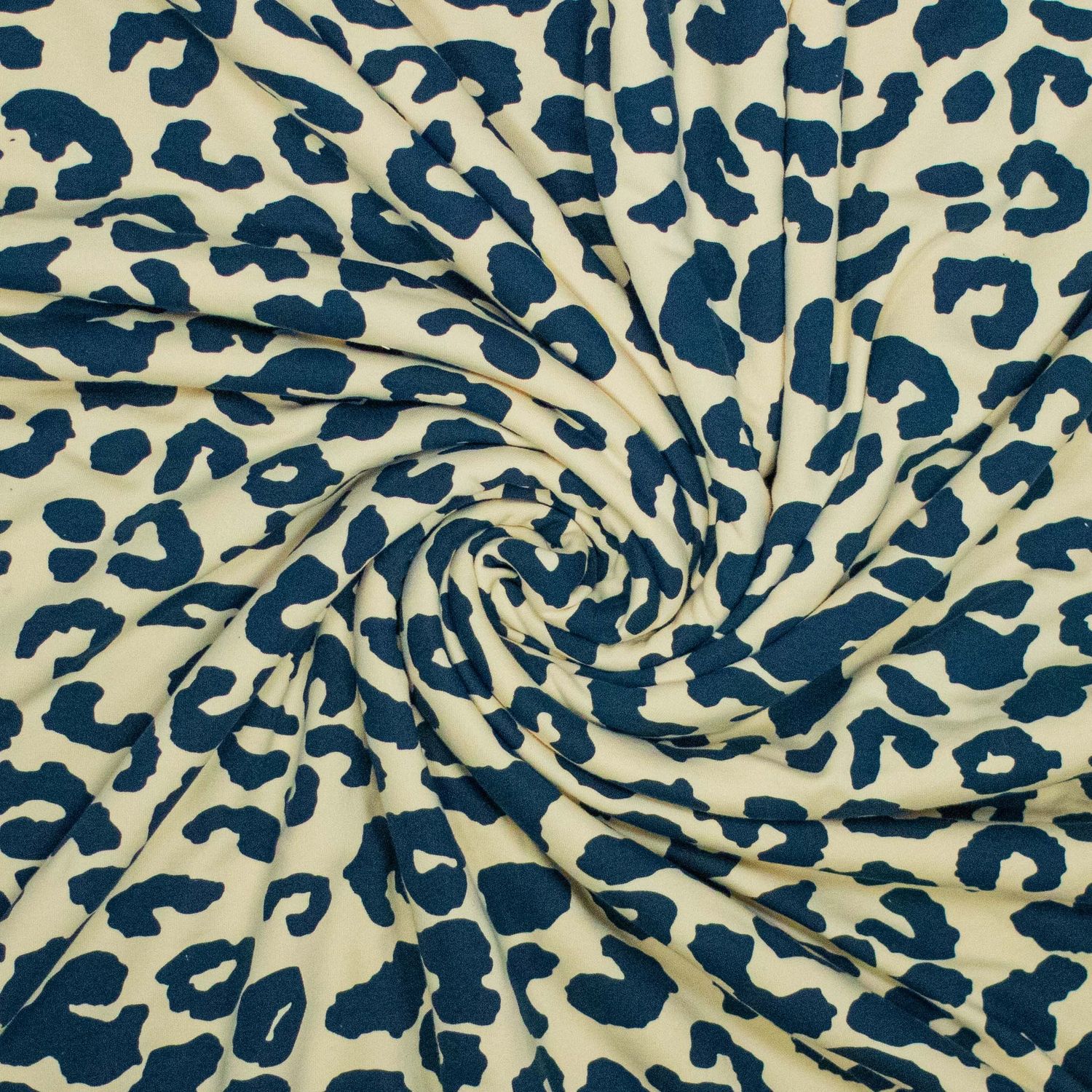 Leopard jogging