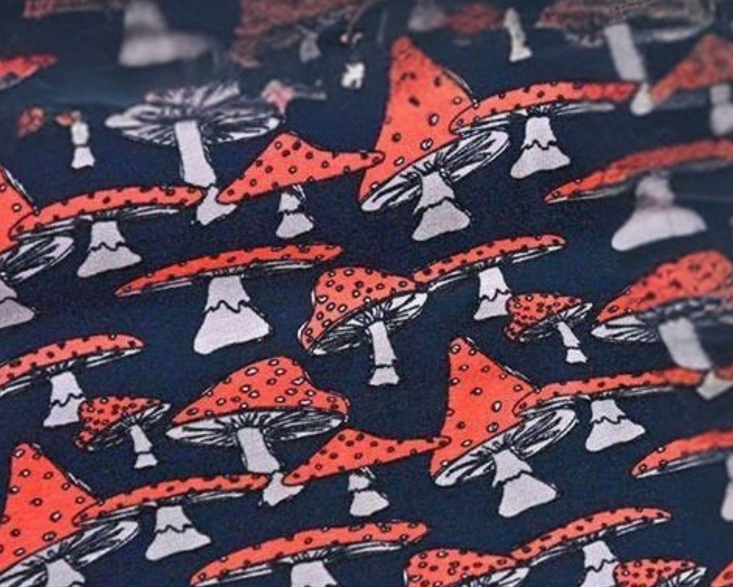 Paddestoel rood organic