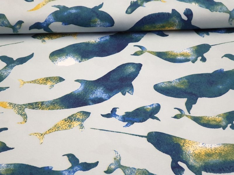 Dolphins
