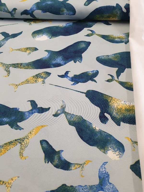 Dolphins