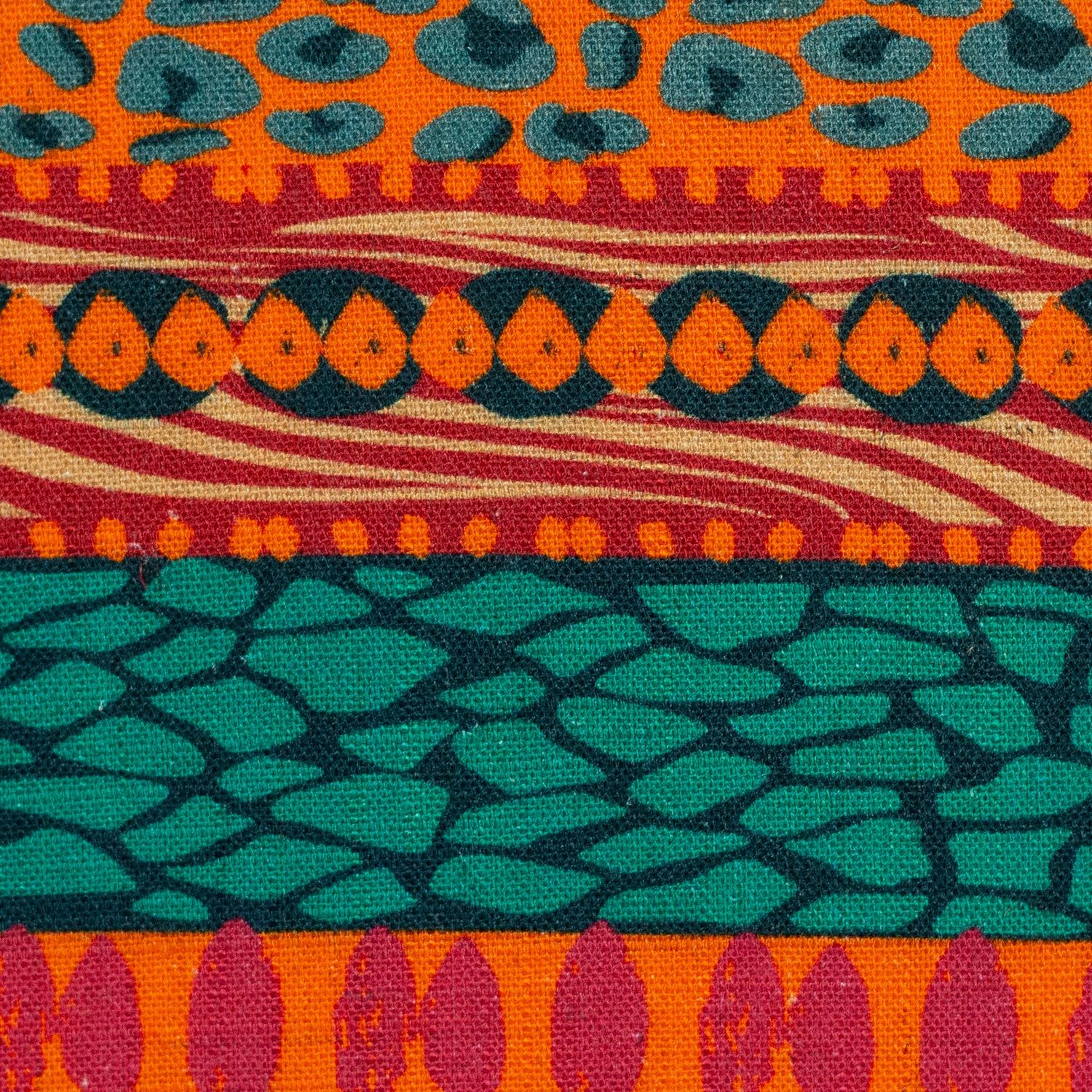 Wild stripes  by Bienveniedo Colorido