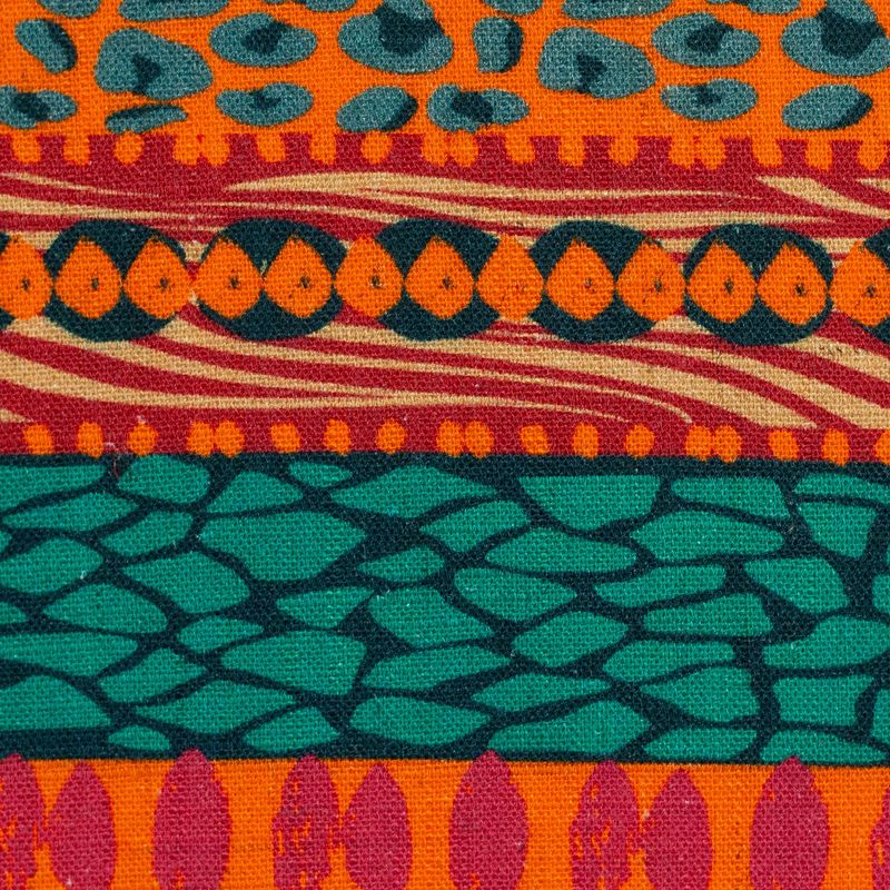 Wild stripes  by Bienveniedo Colorido