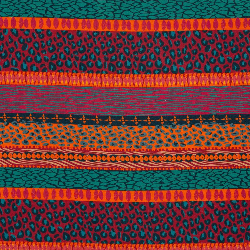 Wild stripes  by Bienveniedo Colorido