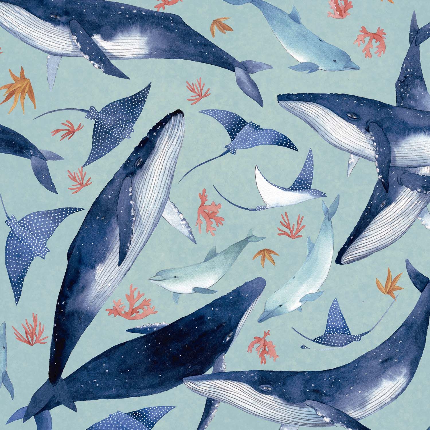 Poplin| magic seaworld