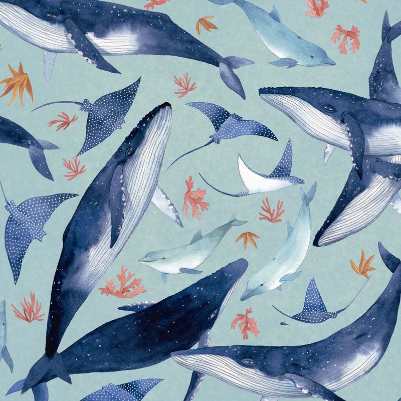 Poplin| magic seaworld