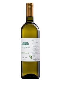TREBBIANO Conte Fosco
