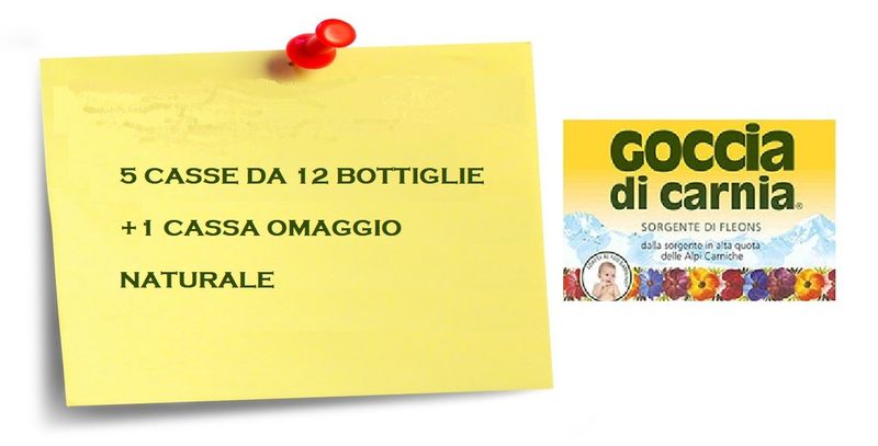 Goccia di Carnia 1L 12 bottiglie  NATURALE 5+1 CASSE