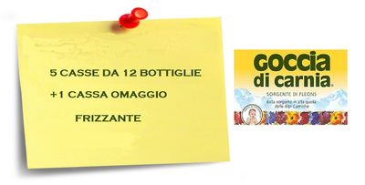 Goccia di Carnia 1L 12 bottiglie  FRIZZANTE 5+1 CASSE