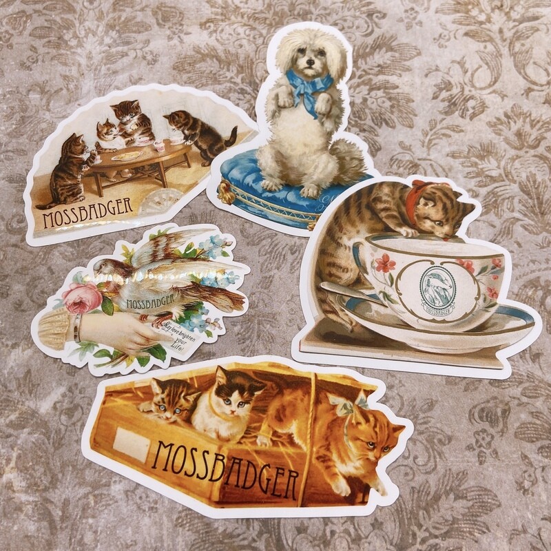 die cut stickers lucky pack
