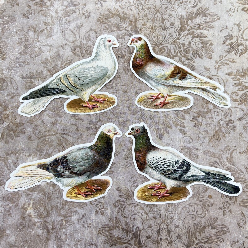 pigeon stickers set (2 sizes)