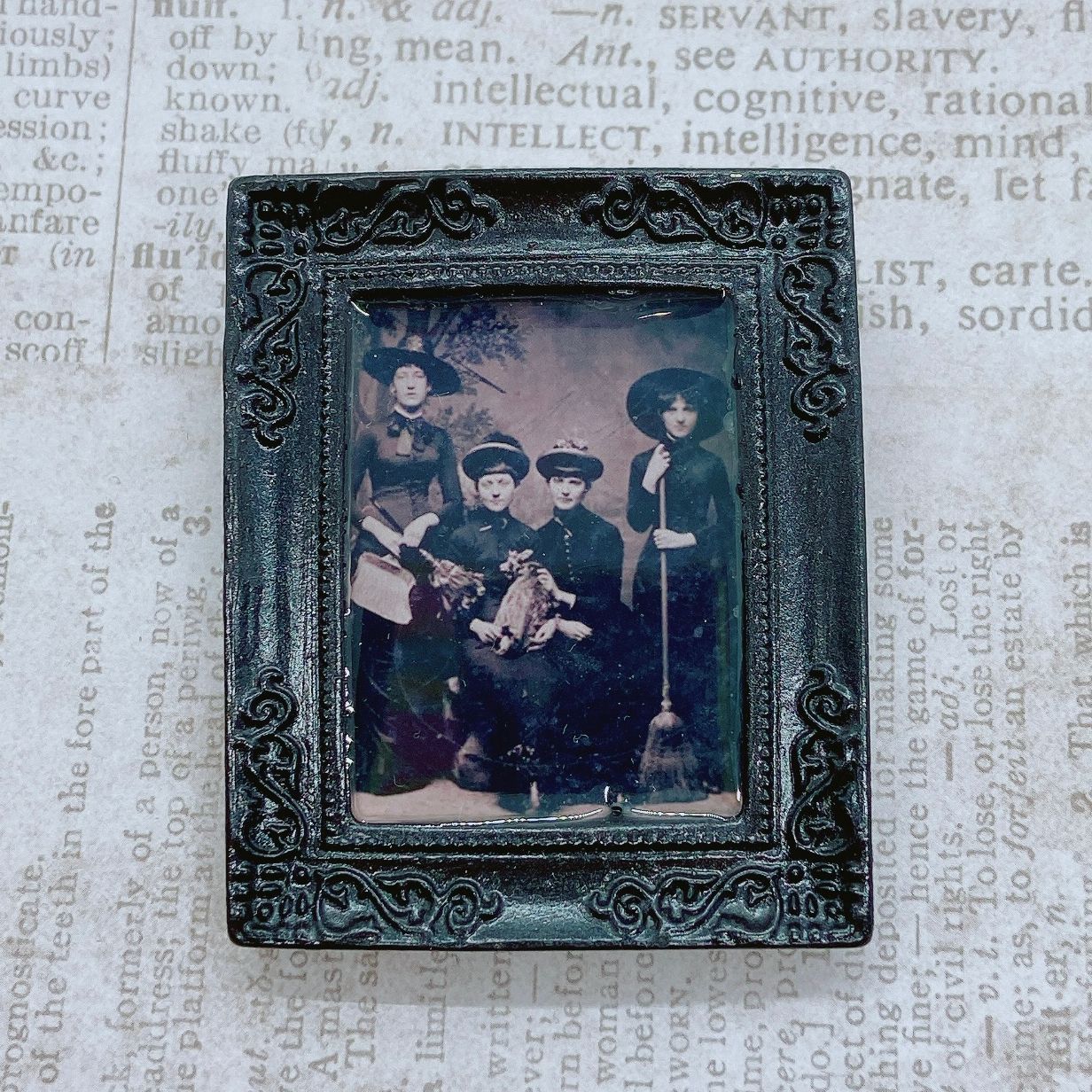 frame brooch (witchy women)