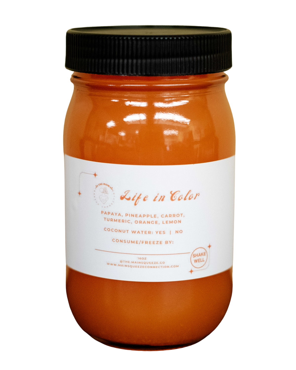 FROZEN Life in Color 8 oz.