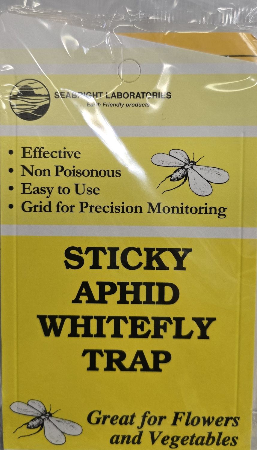 Seabright Yellow Sticky Traps 5pk