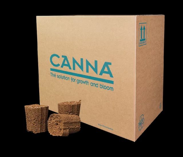 Canna Root Plugs 50pk