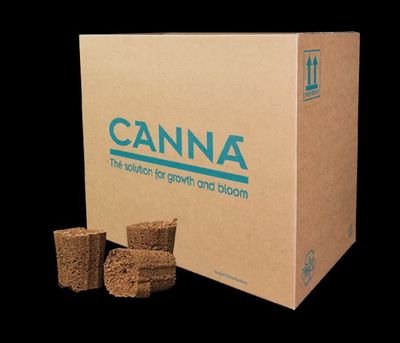 Canna Root Plugs 50pk