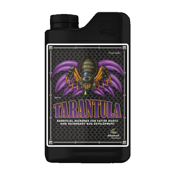 Tarantula, Size: 1 L