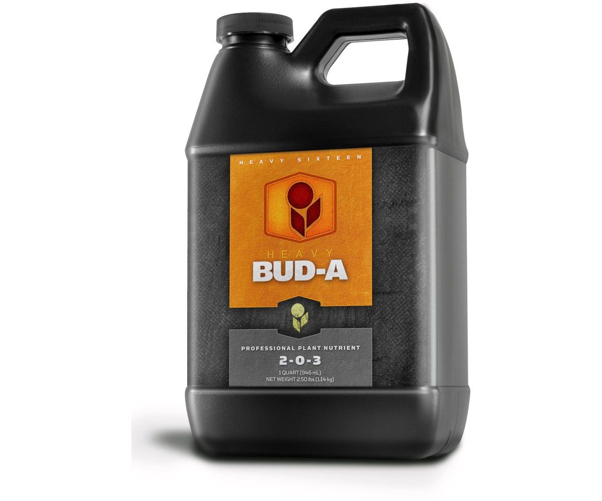 Heavy 16 Bud A, Size: 1 Qt
