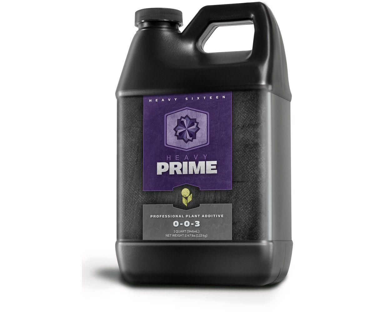 Heavy 16 Prime, Size: 1 Qt