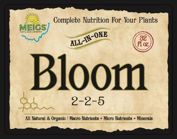 Meigs Bloom, Size: 1 Qt