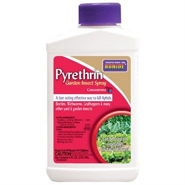 Bonide 8oz Pyrethrin Concentrate