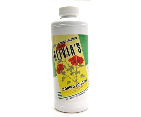 Olivia's Cloning Solution, Size: 1 Qt